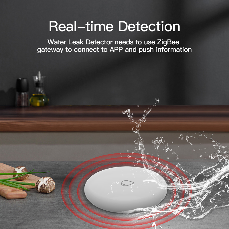 ZigBee Water Sensor (RSH-WL08)